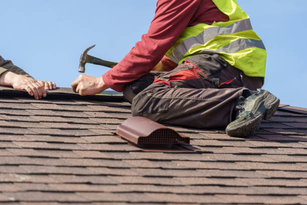 Best Best Roofing Contractors  in Petersburg, MI