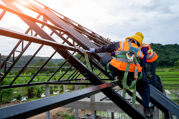Best New Roof Installation  in Petersburg, MI