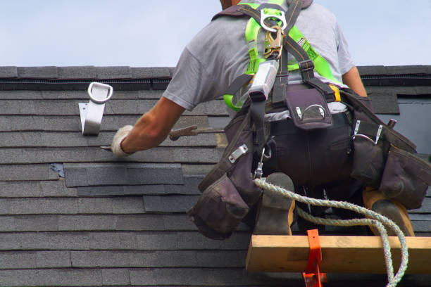 Best Roof Restoration Services  in Petersburg, MI