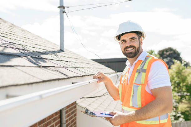 Best Roof Maintenance Services  in Petersburg, MI