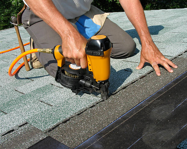 Best Roof Maintenance Services  in Petersburg, MI