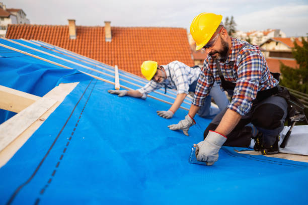 Best Best Roofing Contractors  in Petersburg, MI