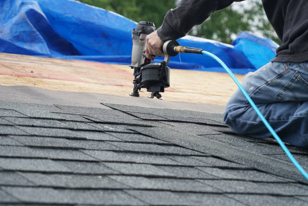 Quick and Trustworthy Emergency Roof Repair Services in Petersburg, MI
