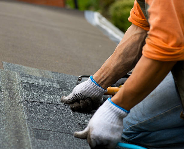 Roof Waterproofing Services in Petersburg, MI