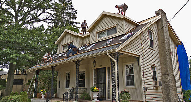 Best Local Roofing Companies  in Petersburg, MI