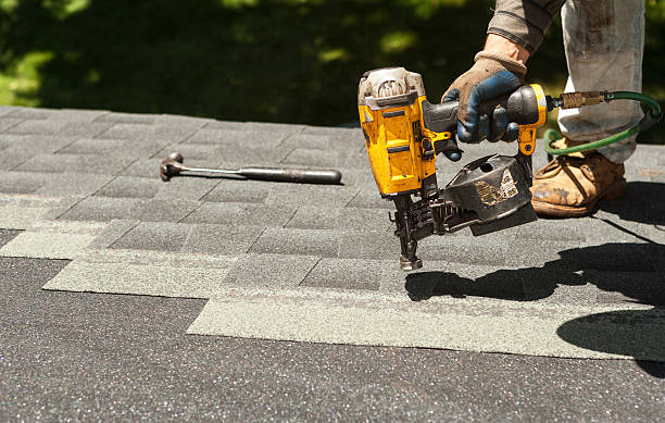 Best Roof Restoration Services  in Petersburg, MI