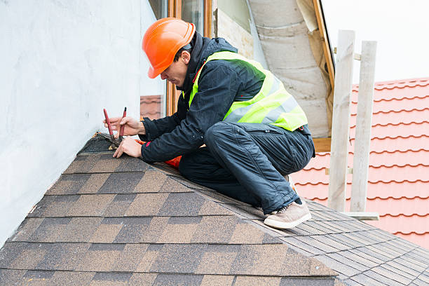 Best Storm Damage Roof Repair  in Petersburg, MI