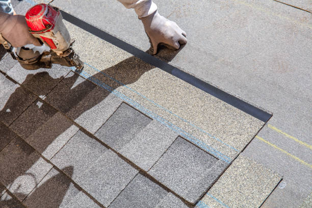 Best Affordable Roof Replacement  in Petersburg, MI