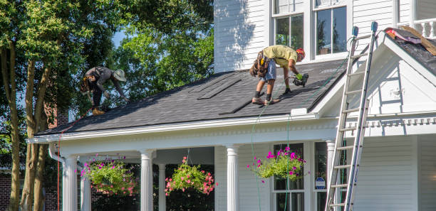 Best New Roof Installation  in Petersburg, MI