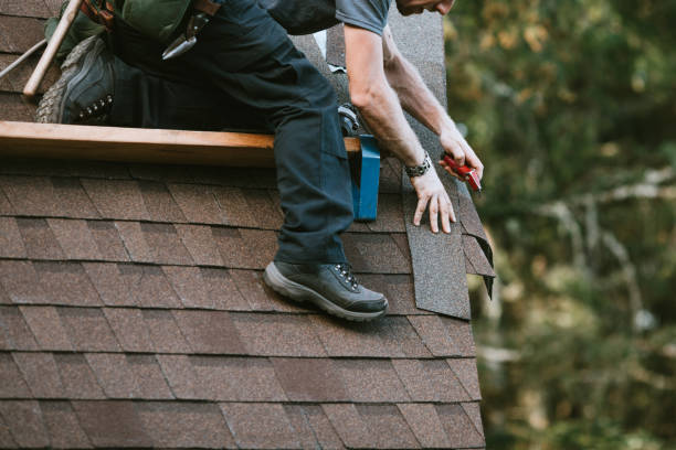 Best Gutter Installation and Roofing  in Petersburg, MI